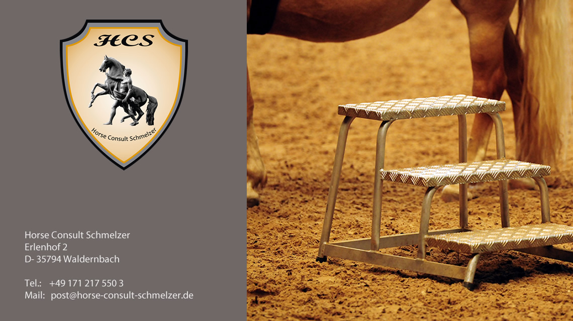 Pferdesport: Spenden und Sponsoring