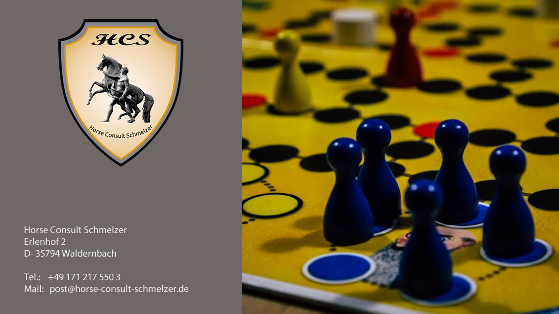 Beratung: Pferdebetriebe mit wirtschaftlichen Problemen