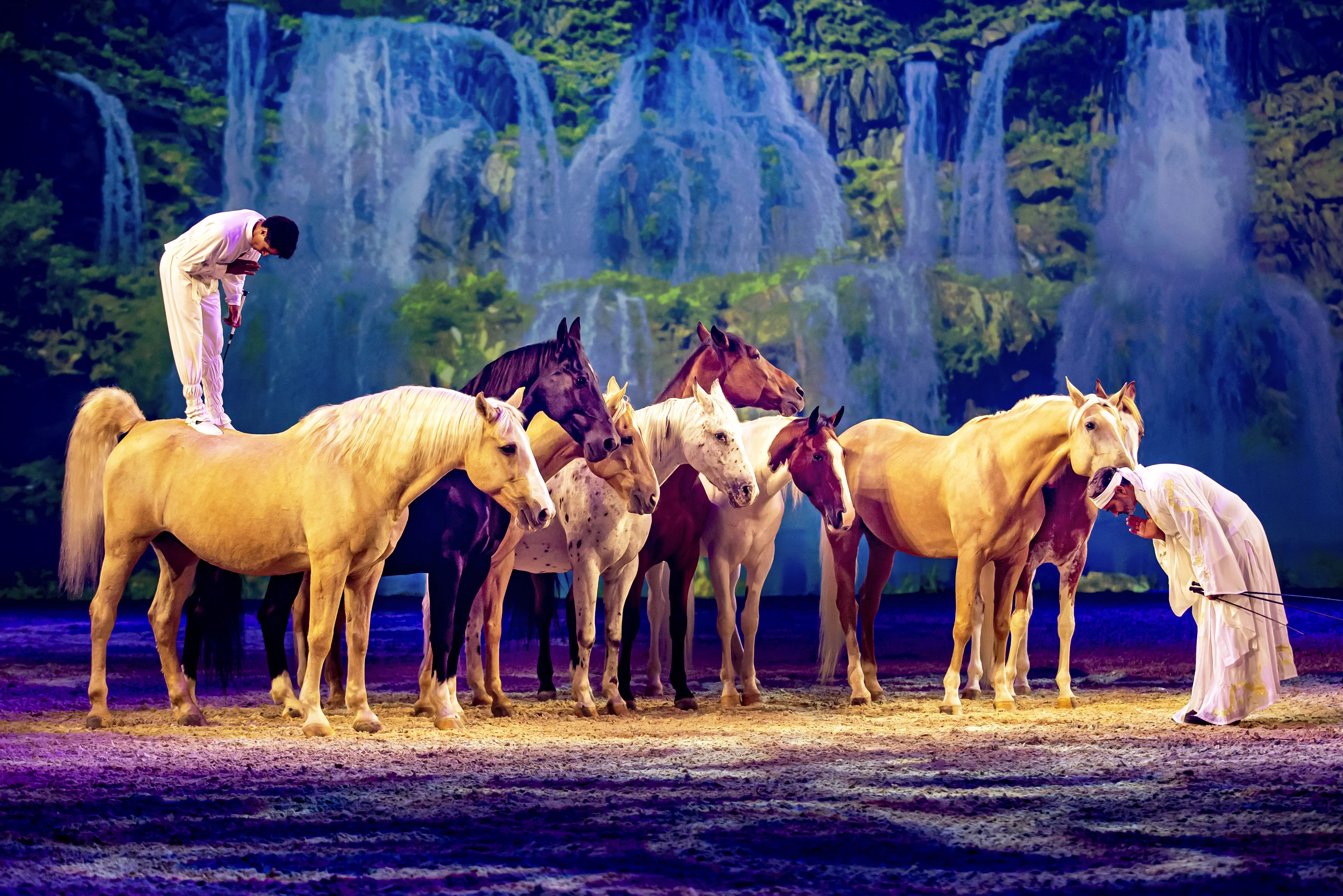 Sasa Improta und Bartolo Messina in grosser Freiheit