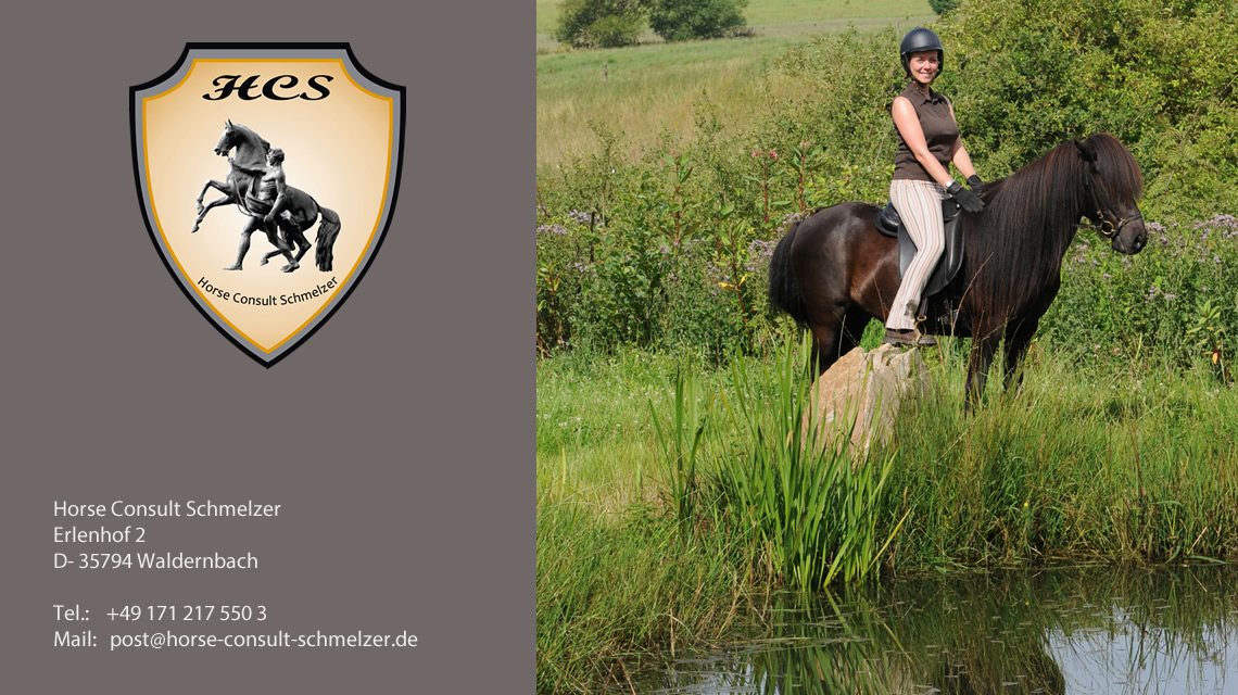 Reiten: Traumpferd oder Traumpony?