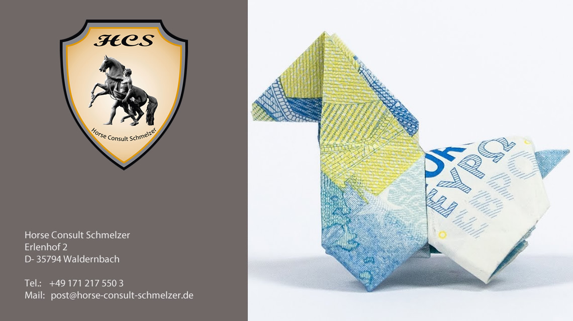 Kredite: Finanzierung für den Kauf einer Reitanlage