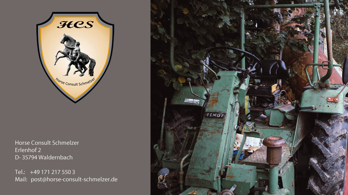 Pferdebetrieb auf Krisen vorbereiten - Risikomanagement für Pferdebetriebe