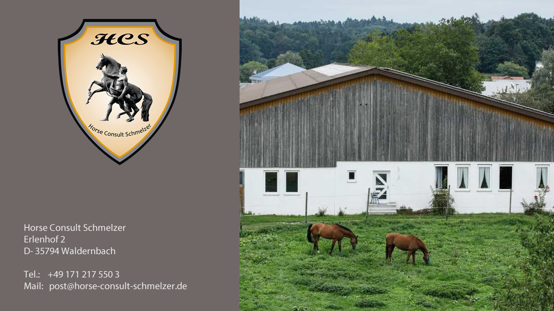 Vorteile einer Unternehmensberatung für Pferdebetriebe