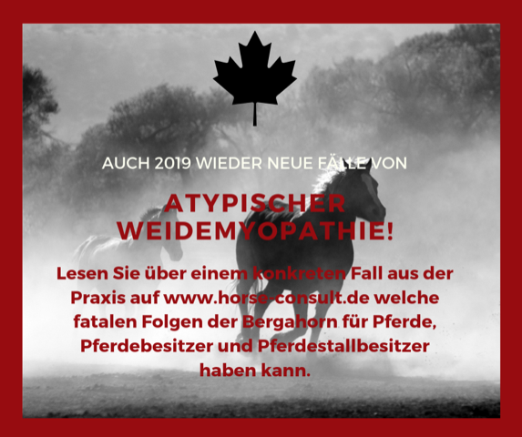 Atypische Weidemyopathie