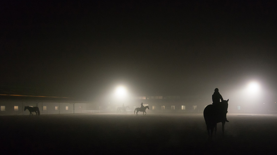 Beratung für einen traditionsreichen Reitverein