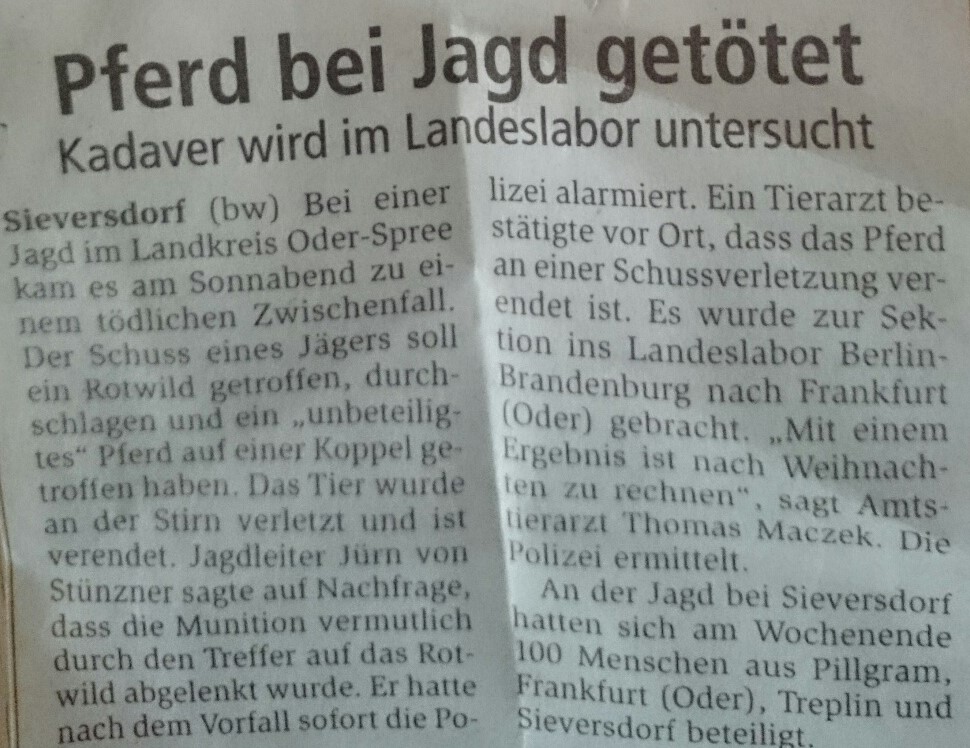 erschossen pferd zeitungsbericht