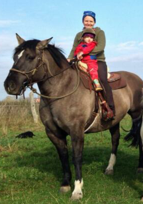 neues pferd nach Wertgutachten