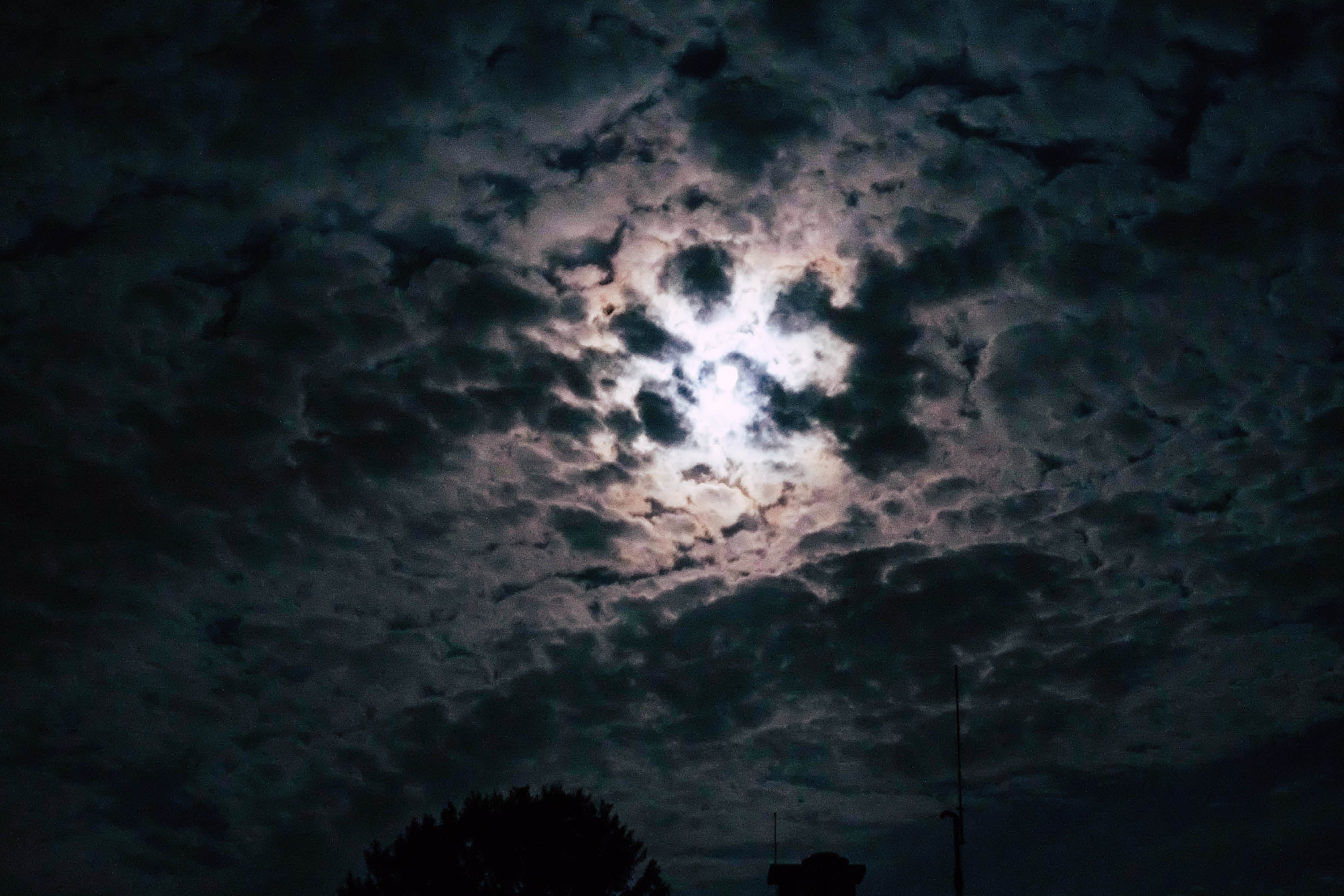 Stürmischer Ritt nach Ostfriesland: Ein neues Kapitel für Pferde und ihre Gesundheit