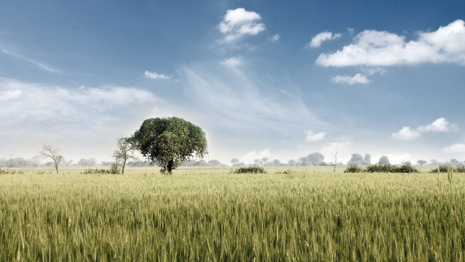 Hofübergabe Pferdehof